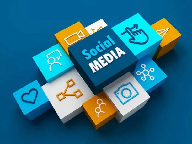 freelance seo expert